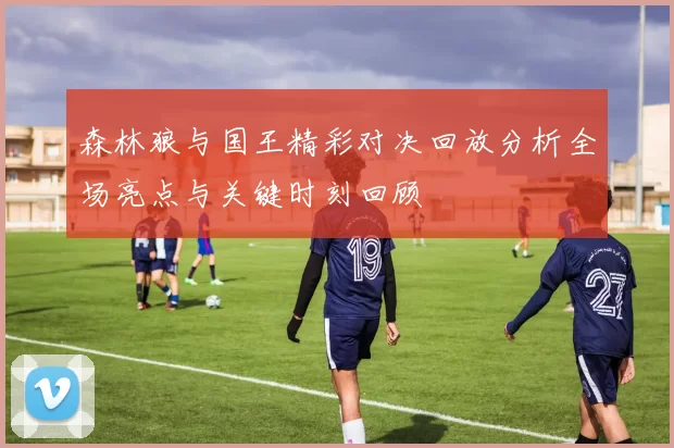 森林狼与国王精彩对决回放分析全场亮点与关键时刻回顾