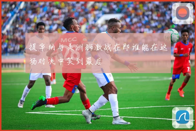 提华纳与美洲狮激战在即谁能在这场对决中笑到最后