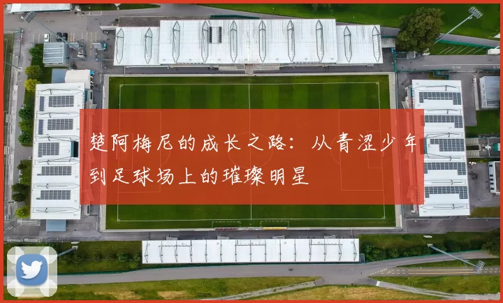 楚阿梅尼的成长之路：从青涩少年到足球场上的璀璨明星